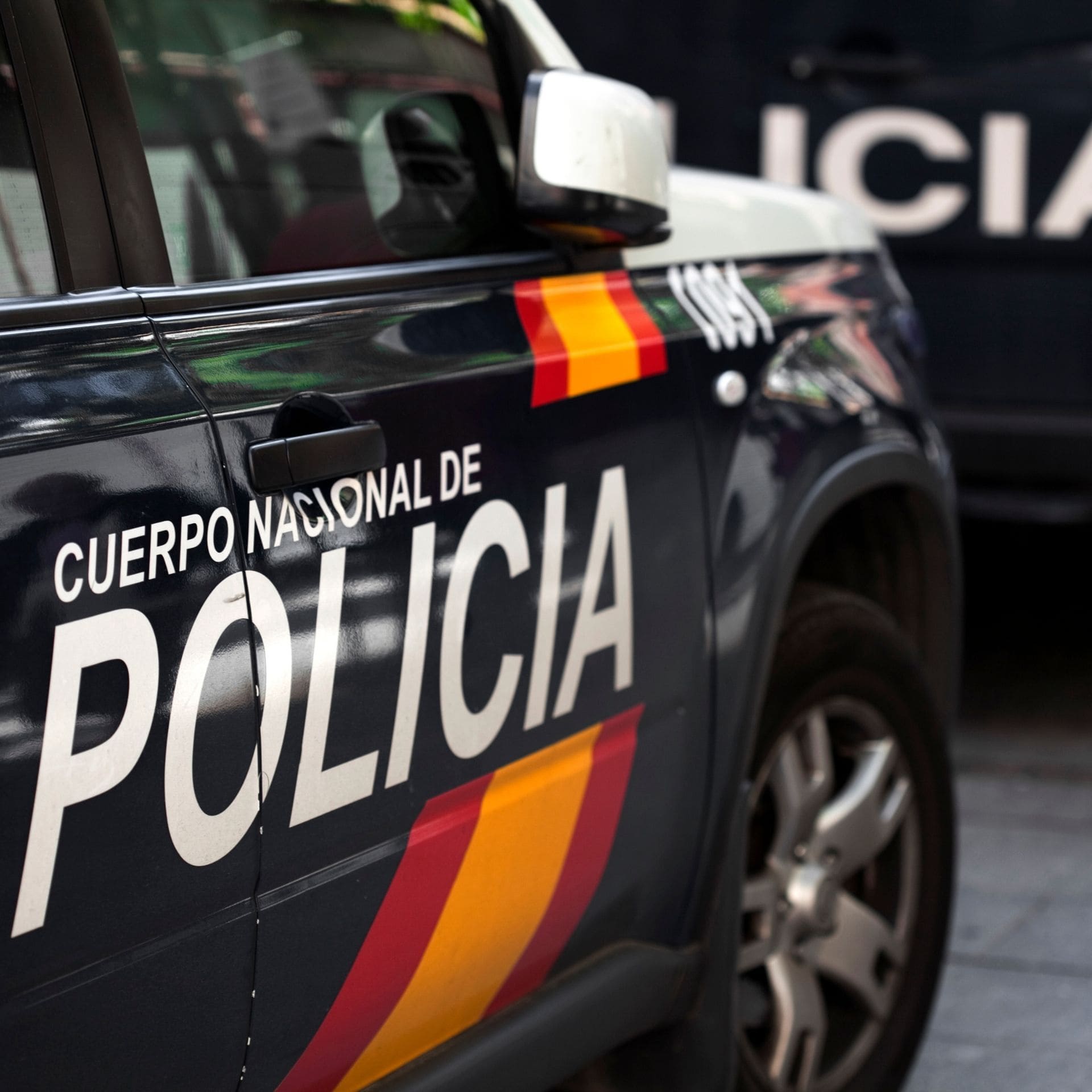 Detalle del logo del Cuerpo Nacional de Policía